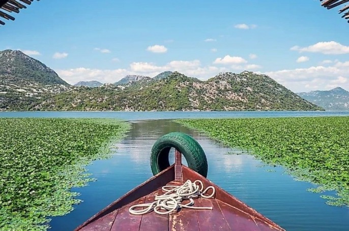 Liqeni i Shkodrës në karantinë, ndalohet kategorikisht peshkimi i krapit dhe gjuhcës